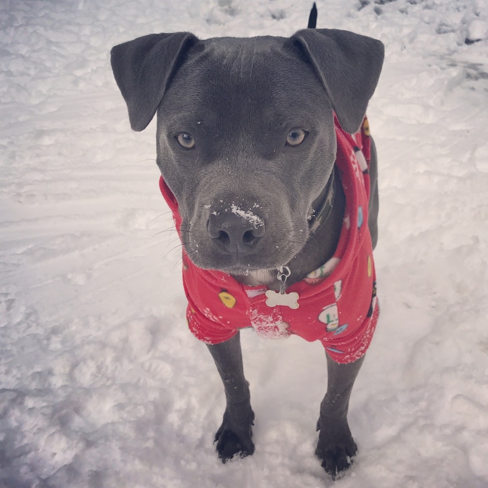 Meet your Posher, Eunice